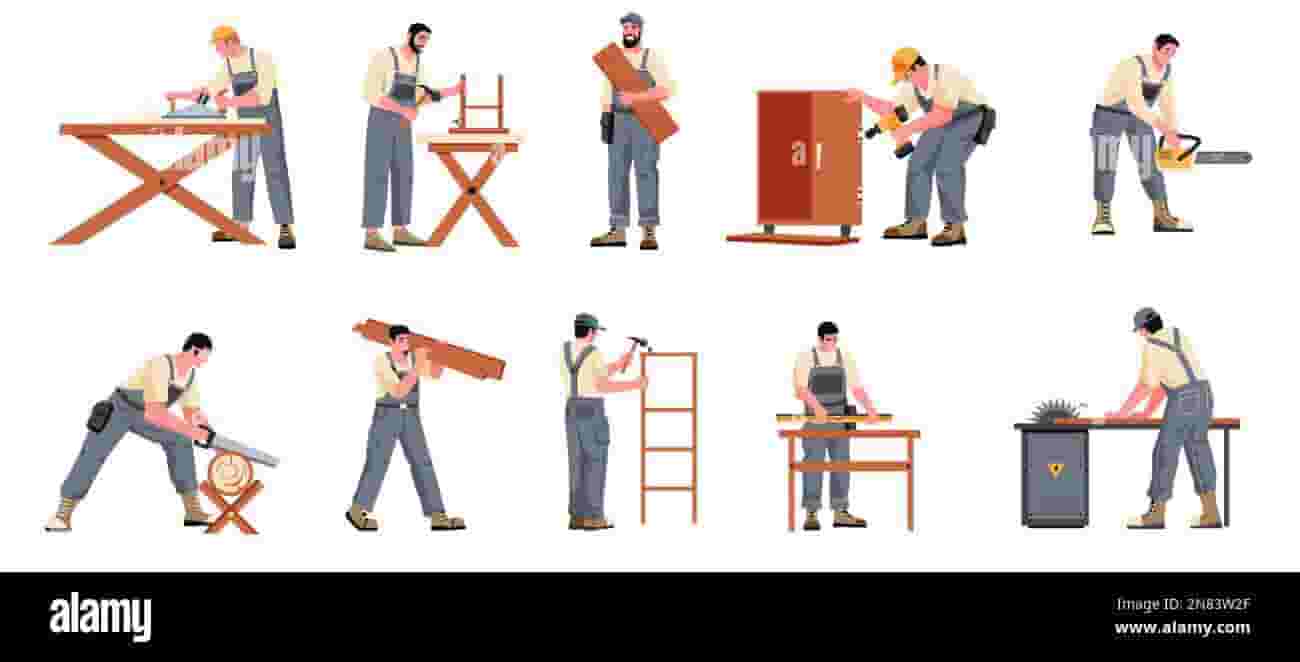 Carpenter Removal Fixing Repairing