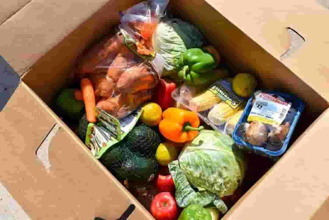 We have all kinds of food 