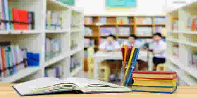 Private teacher for the undergraduate levels