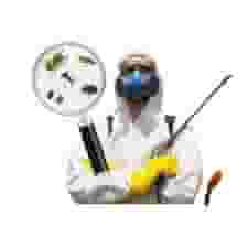 Pest control company in Sharjah