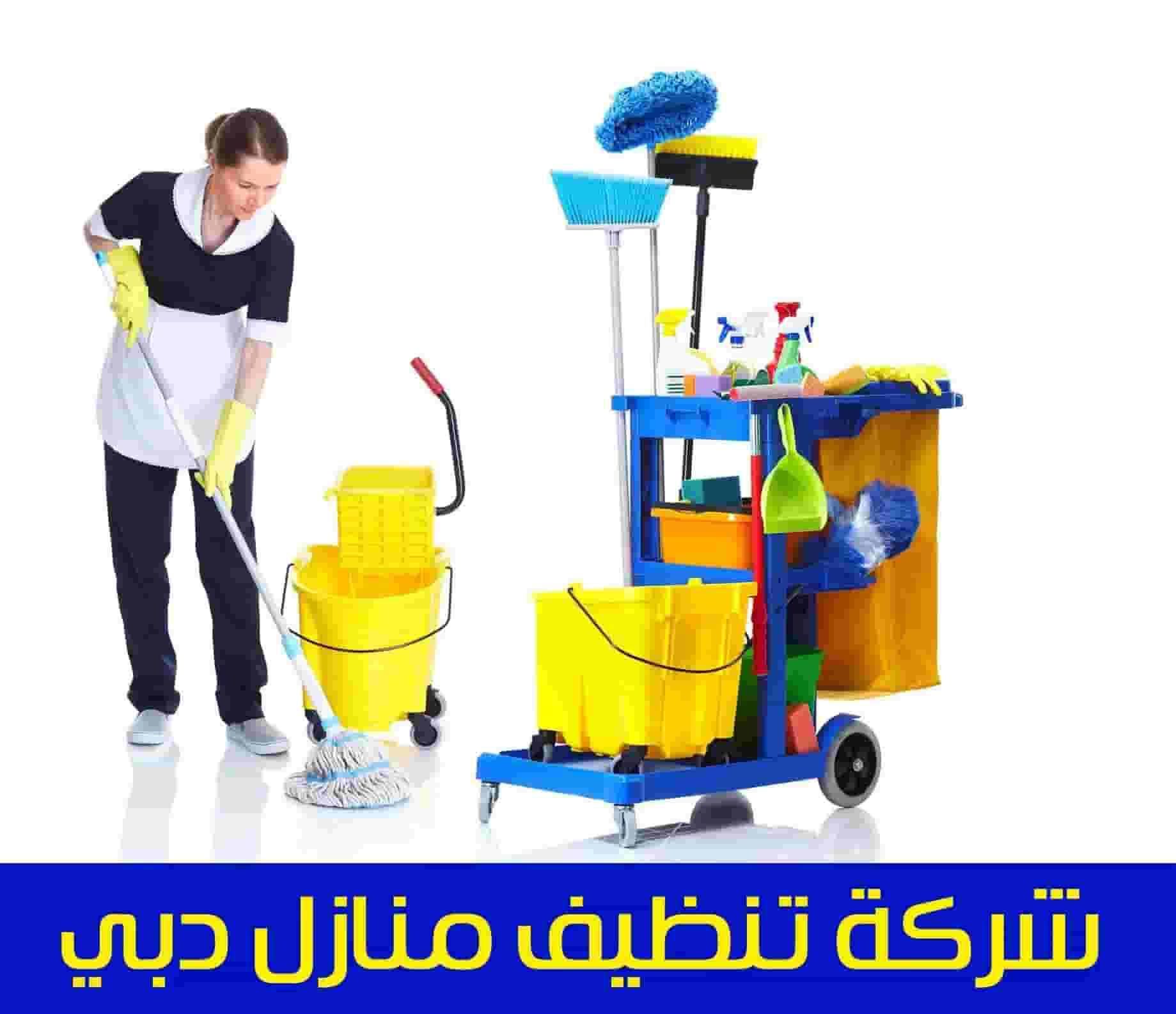 Cleaning company for sale