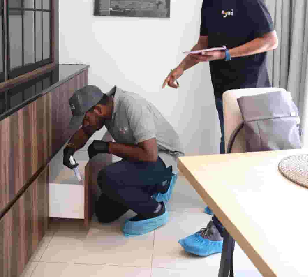 Pest control by Dubai Municipality